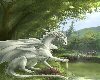 White Dragon
