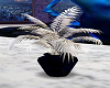 white plant, blue pot