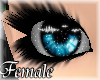 Sparkle Sky [F]