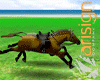 # Horse on the beach