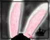 [CP] Pink Bunny Ears
