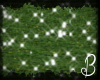 *B*Fireflies