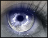 Product Image for Night Queen