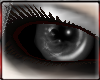 [A] Tempt Eyes Darkness