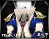! Elven Templar Top II