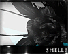 (FG) Night Owl Feathers