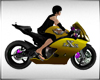Yellow Racer, Moto Sport