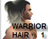 MALE WARRIOR HAIR 1