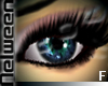 N. EYES Fab. Ardoise