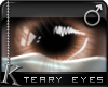 K| Teary Eyes: Brown