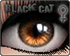 [BC] Hazel Cat Eyes F!