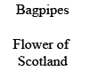 Bagpipes Flower of Scot