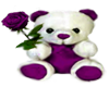 PurpleRoseBear Hug