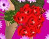 Sparkling Red Roses