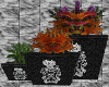 !(A)Vampire3PiecePlant