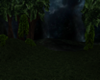 Forest of the Night