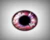 Pink spring eyes
