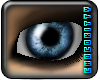 [C]iDistort - Sky Blue