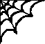 black spider web