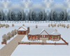 Winter country Home