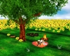 My Sunflower's Paradise