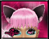 ~S~Tokyo mew mew ears