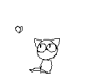 Jumping Kitten