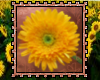 fall flower stamp