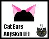 http://userimages02-akm.imvu.com/productdata/images_a80e273778a9f331f5ccb6074e16adf9.jpg