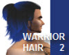 MALE WARRIOR HAIR 2