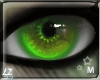 Z7 [Gloss]Lush M