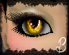 *B*Golden Fire Eyes