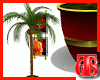 (T68) Designer Coconuts