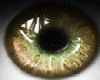 t| Gold Shine Eyes F