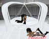 6 Pose White Marble Swin