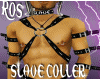 ROs SLAVE Coller M
