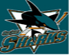 ~X SJ Sharks Skirt