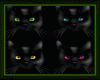 KITTEN BLACK + SOUND