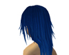 Blue Riku