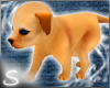 [S] Cute Puppy