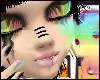 Rainbow Retard Skin
