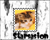 Kitty Stamp