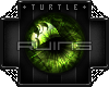 T. Ruins - Algae