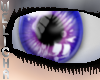 Shiny Eyes Exotic