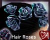 Black Rose Hair Roses