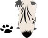 White Fox Tail