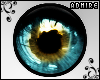 [A] Blue/Gold Gleam Eyes