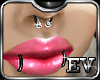 EV Silver n BlK Piercing
