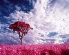 Pink Fantasy Background