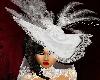 http://userimages02-akm.imvu.com/productdata/images_e5af656f2a90dcf7c2fe71412b78beb5.jpg